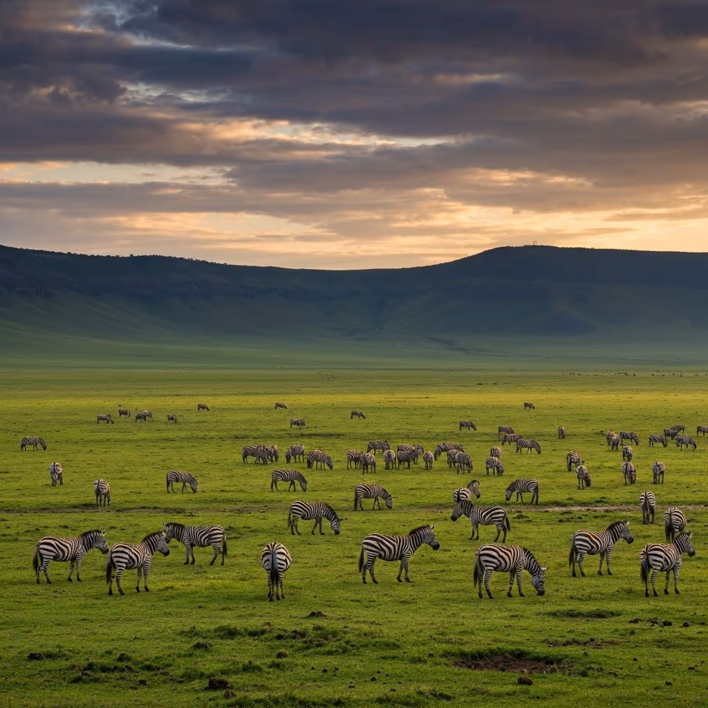 Ngorongoro